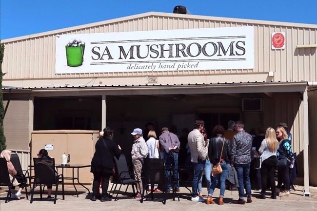 Mushroom Farm Walk Mushroom Farm Walk